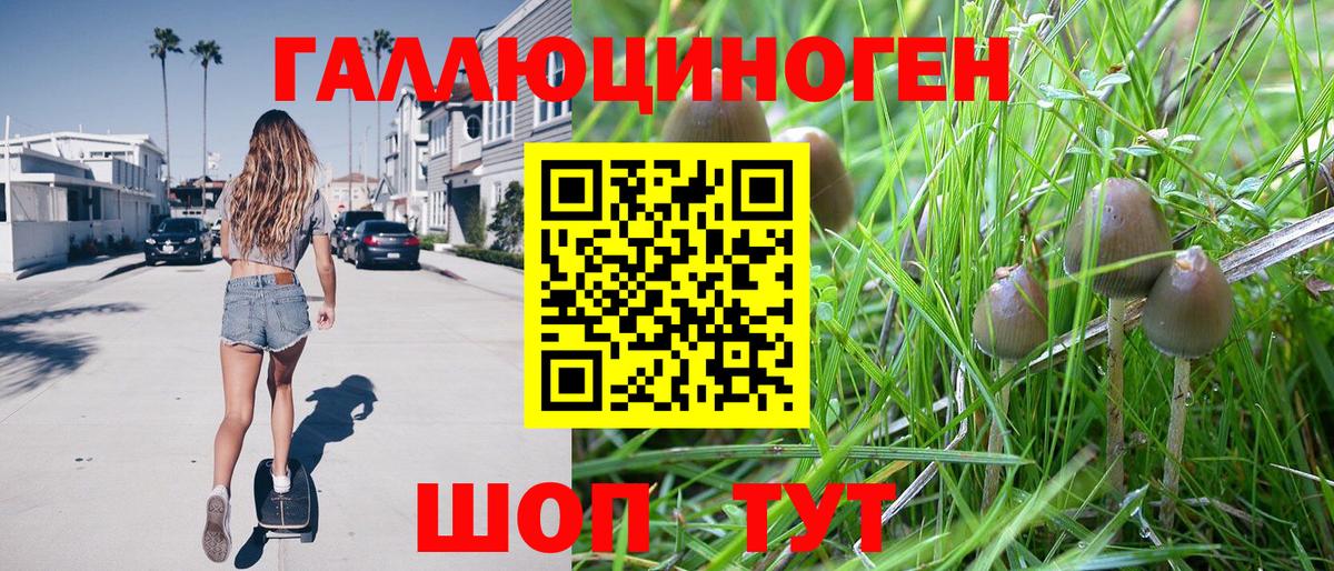 Гусиноозёрск  Галлюциногенные грибы ЛСД  Вход с VPN  Галлюциногенные грибы Psilocybine cubensis 