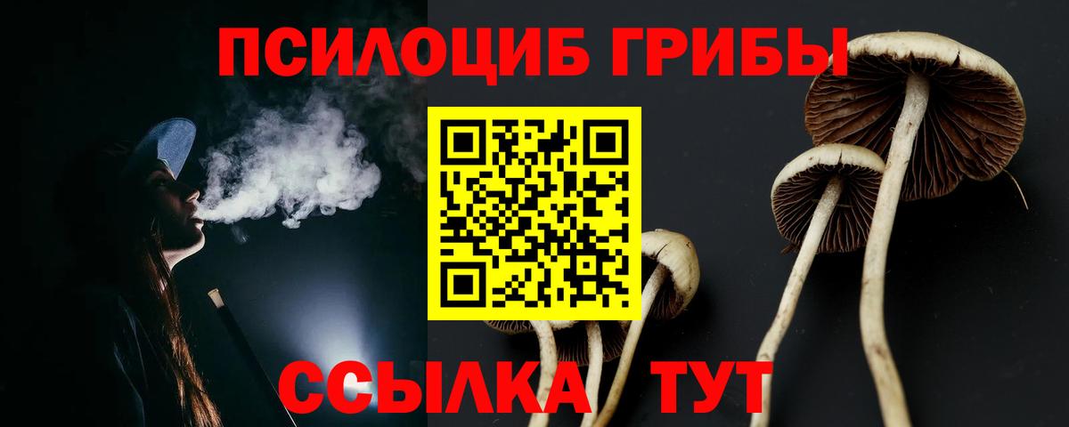 Галлюциногенные грибы Cubensis Гусиноозёрск